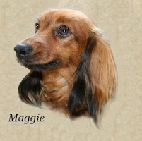 Maggie