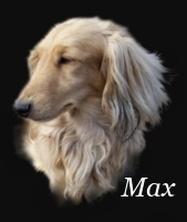 Max